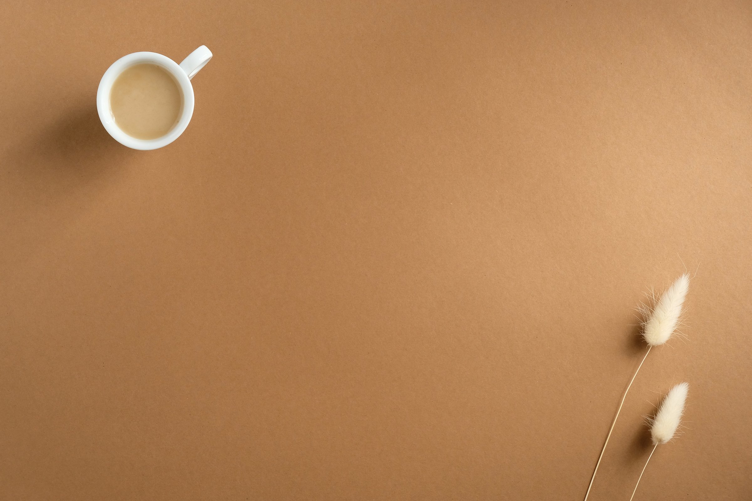 Cup of Coffee and Dried Flowers on Brown Background. Top View, Flat Lay, Copy Space.